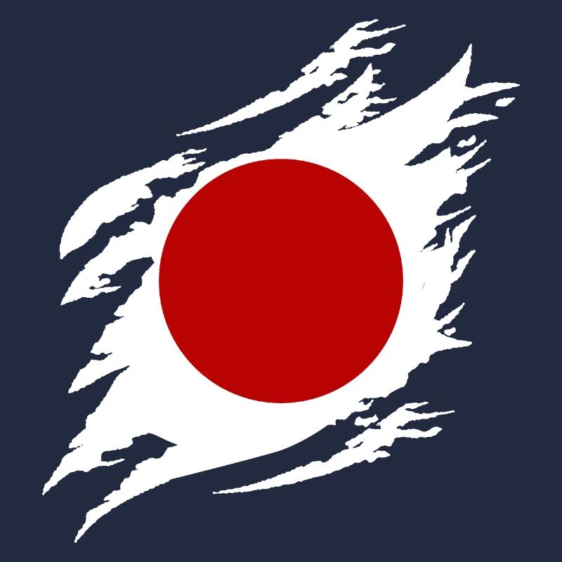 Drapeau du Japon utilisé Look Nihon Drapeau japonais