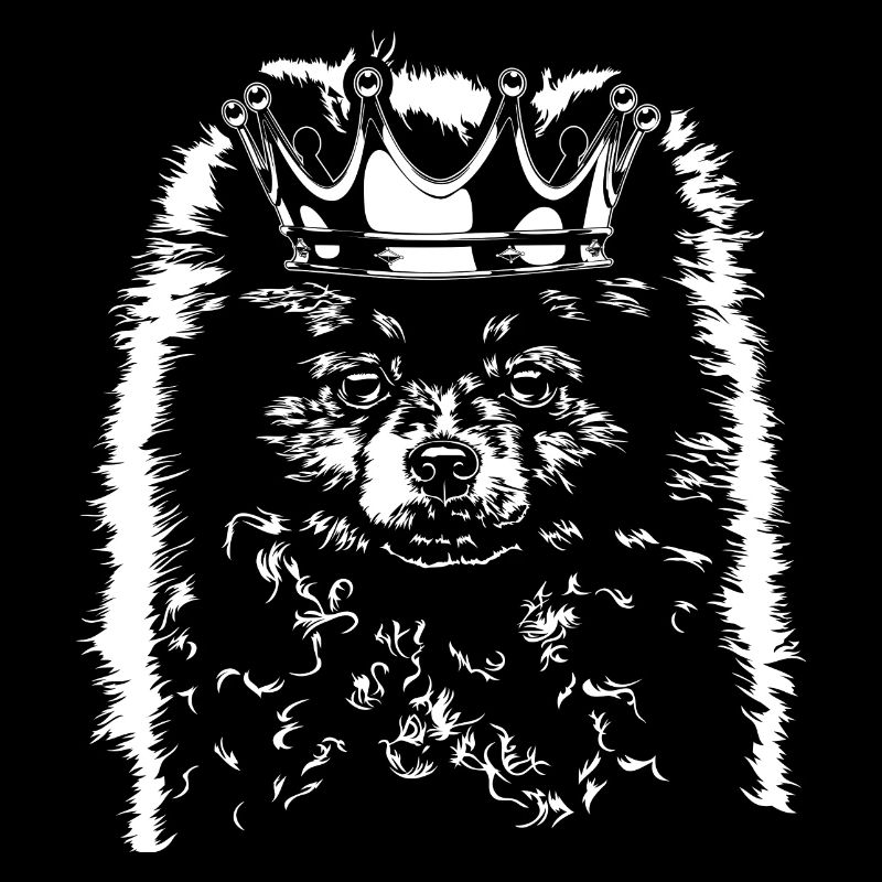 ZWERGSPITZ Pomeranian Krone Dogs Dog Wilsigns