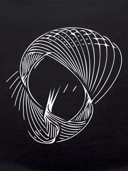 Geometric circle lines