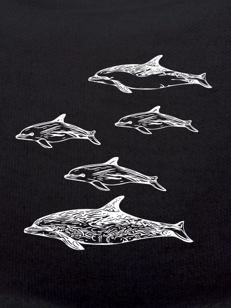 Dolphin School