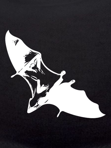 Gliding flying fox
