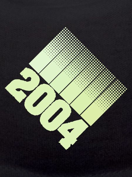 Year 2004