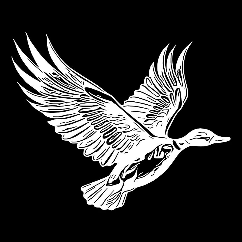 Pretty flying duck with wings
