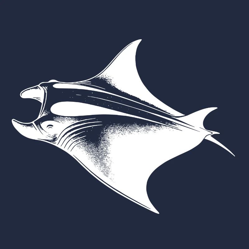Huge elegant manta ray in underwater flight