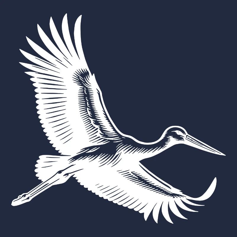 Flying stork in elegant gliding flight