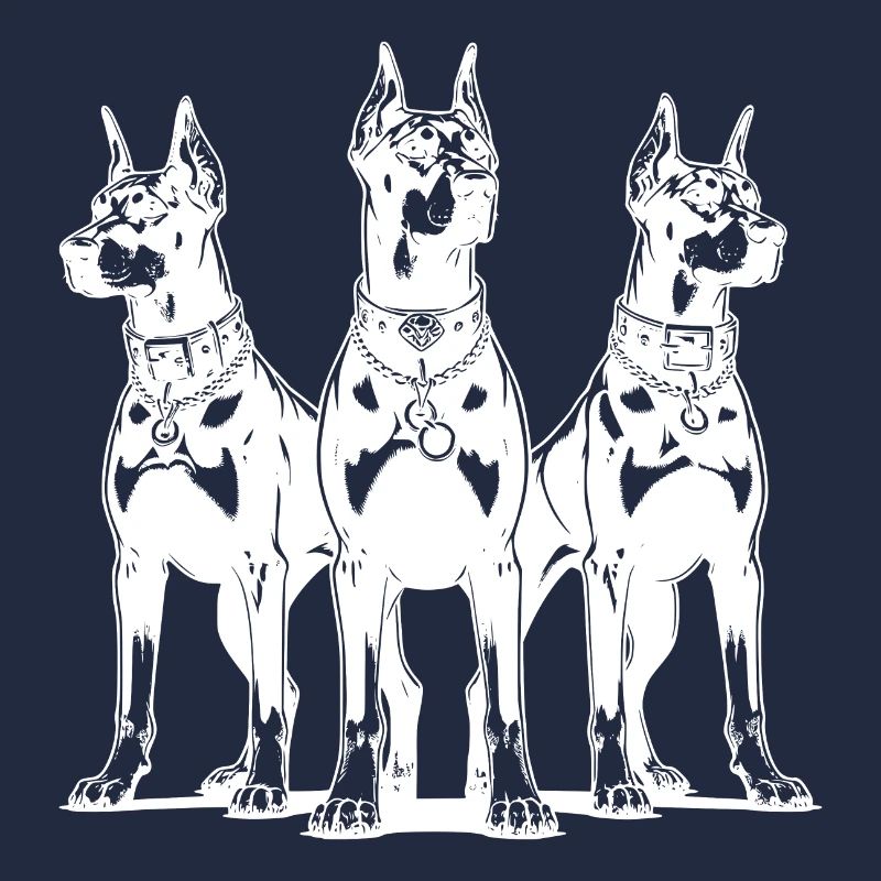 Drei Dobermänner Hunde wachsam und aufmerksam