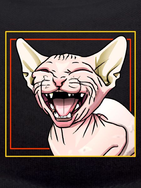 Sphynx cat laughs