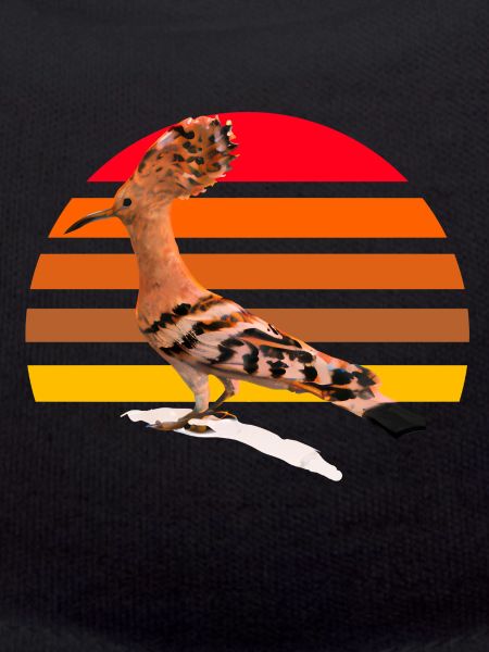 Hoopoe Bird Illustration