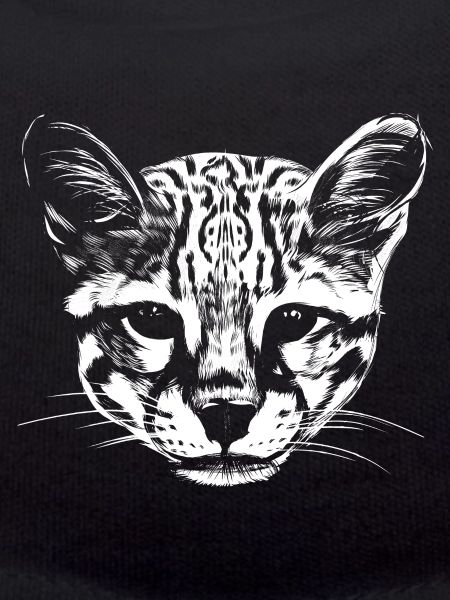 Ocelot