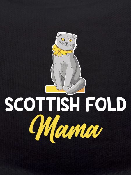 Scottish Fold Cat