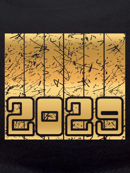 2029