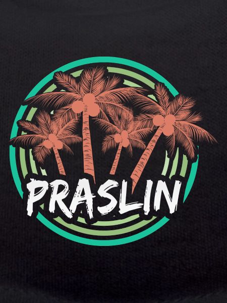 Holidays Praslin
