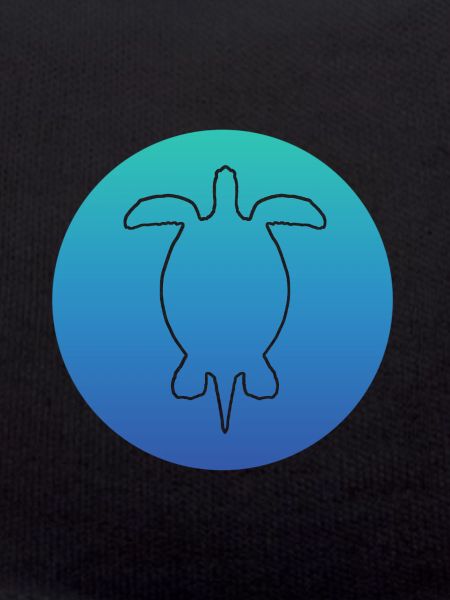 Turtle Turtle turtle