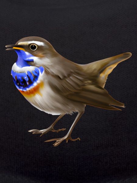 Bluethroat Bird