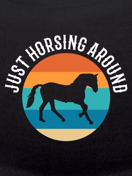 Just Horsing Around Reitlehrer