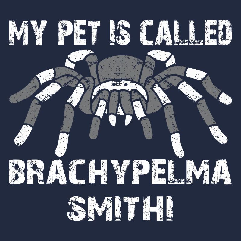 My pet's name is Brachypelma Smithi