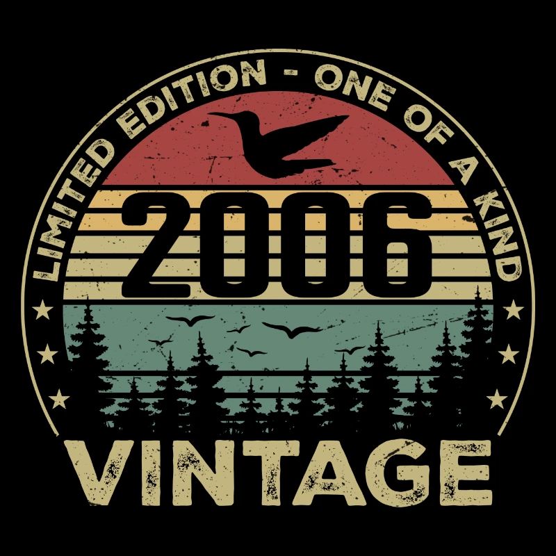Vintage 2006 Original 2006 Retro Anniversary 2006