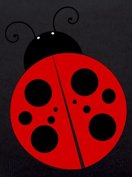 Coccinelle