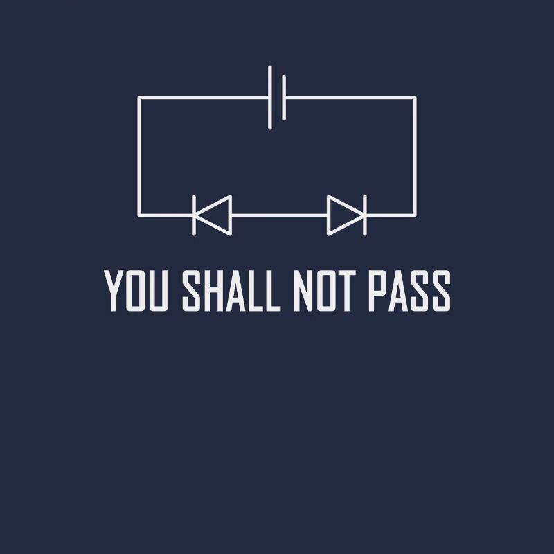 You Shall Not Pass Diode Electrician Gift
