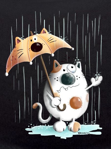 Rainy Day