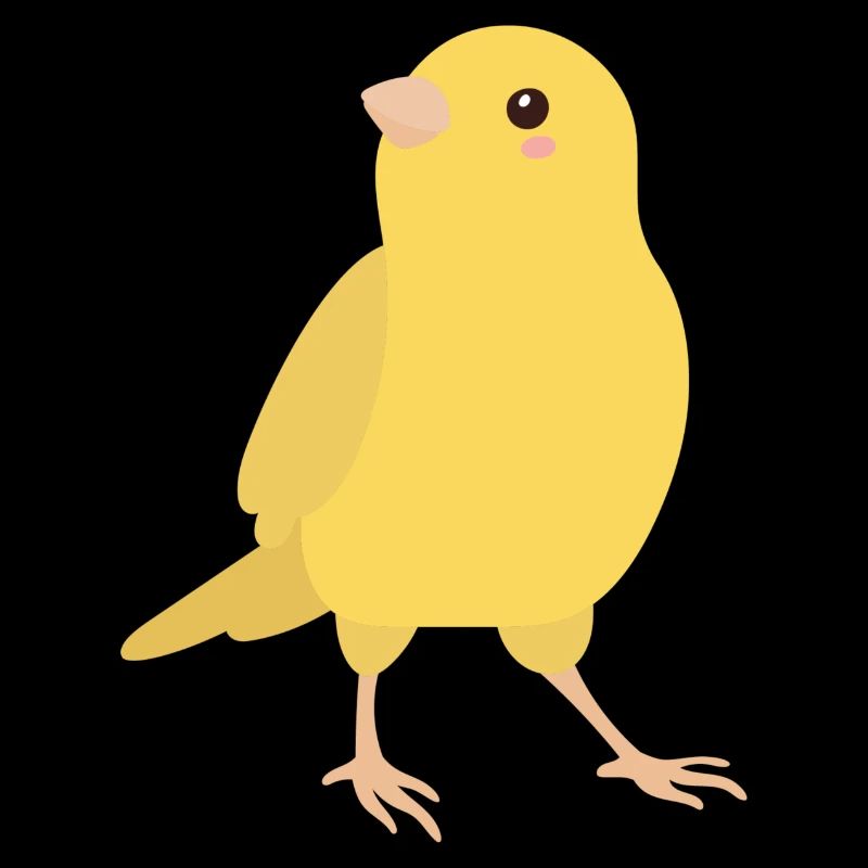 Kanarienvogel