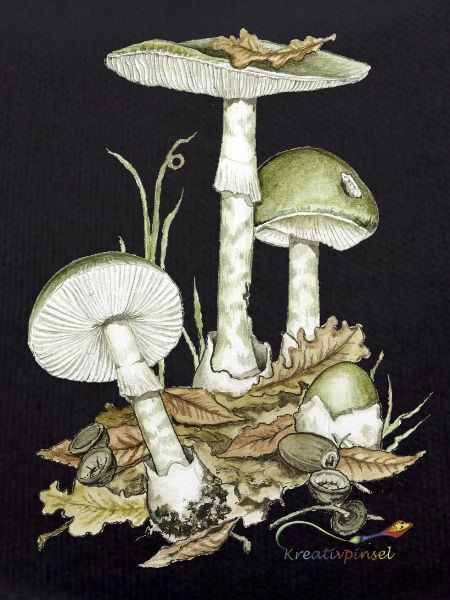 Champignon mort vert