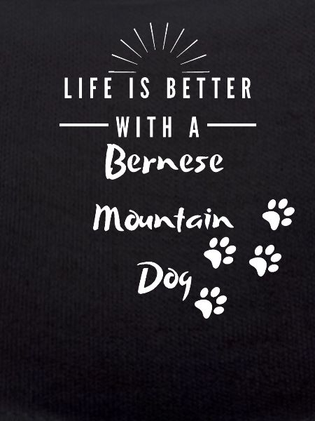 Bernese Mountain Dog