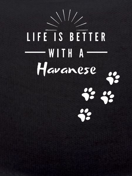 Havanese