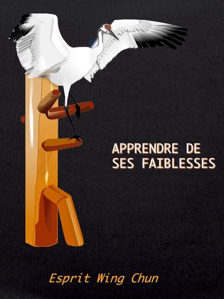 wing chun crane