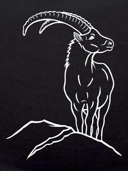 Steinbock