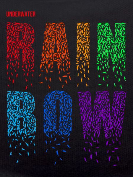 Shrimps - Rainbow