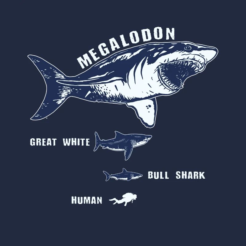 Requin requin de requin de megalodon requin blanc plongeur