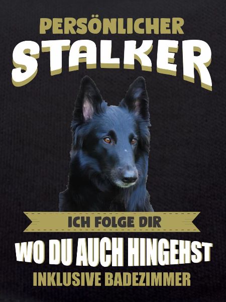 Groenendael Hund - Groenendael