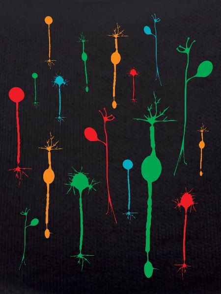 Neurons tetrad