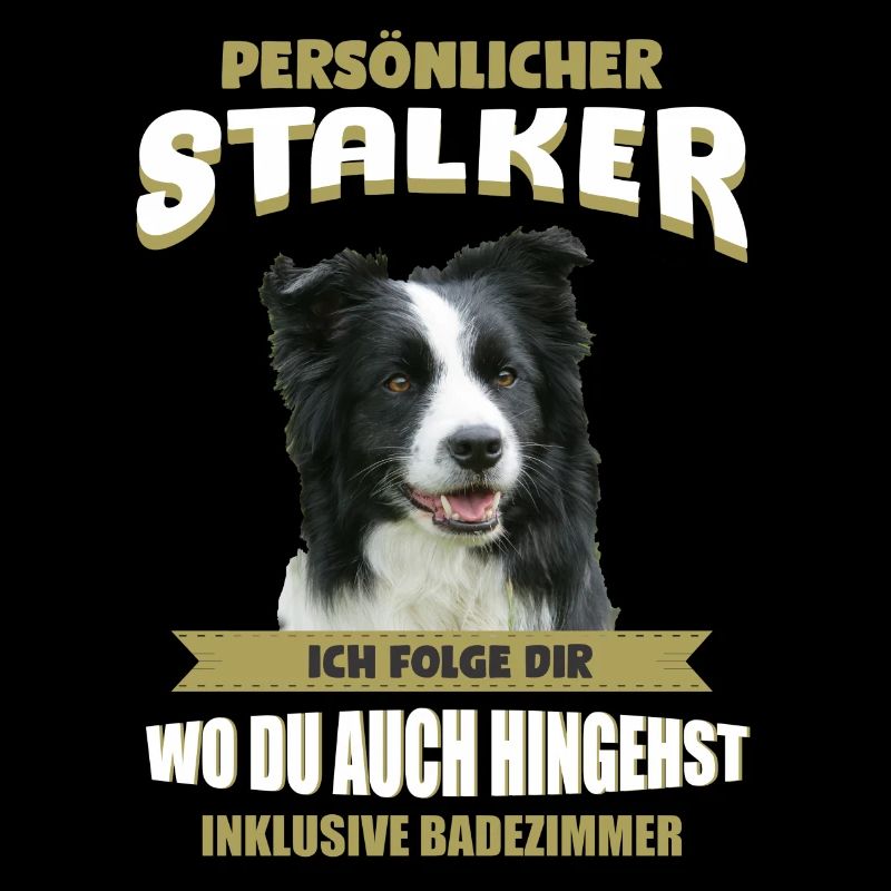 Border Collie Hund - Border Collie