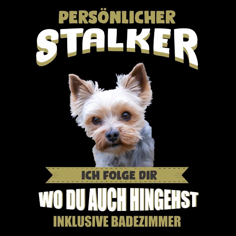 Yorkshire Terrier Hund - Yorkshire Terrier