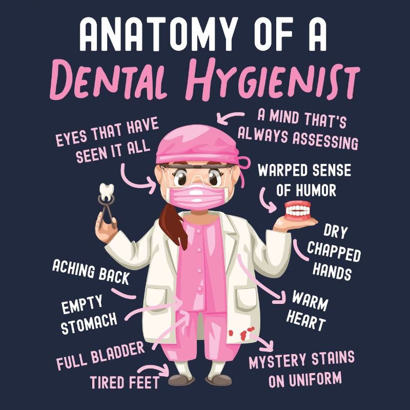 Hygiéniste dentaire Anatomie Anatomie