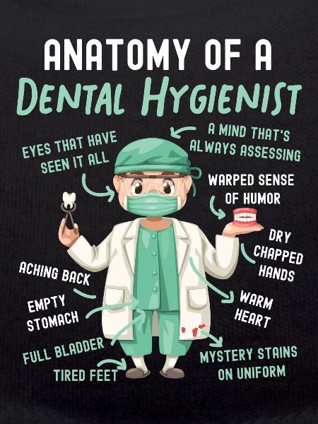 Hygiéniste dentaire Anatomie Anatomie