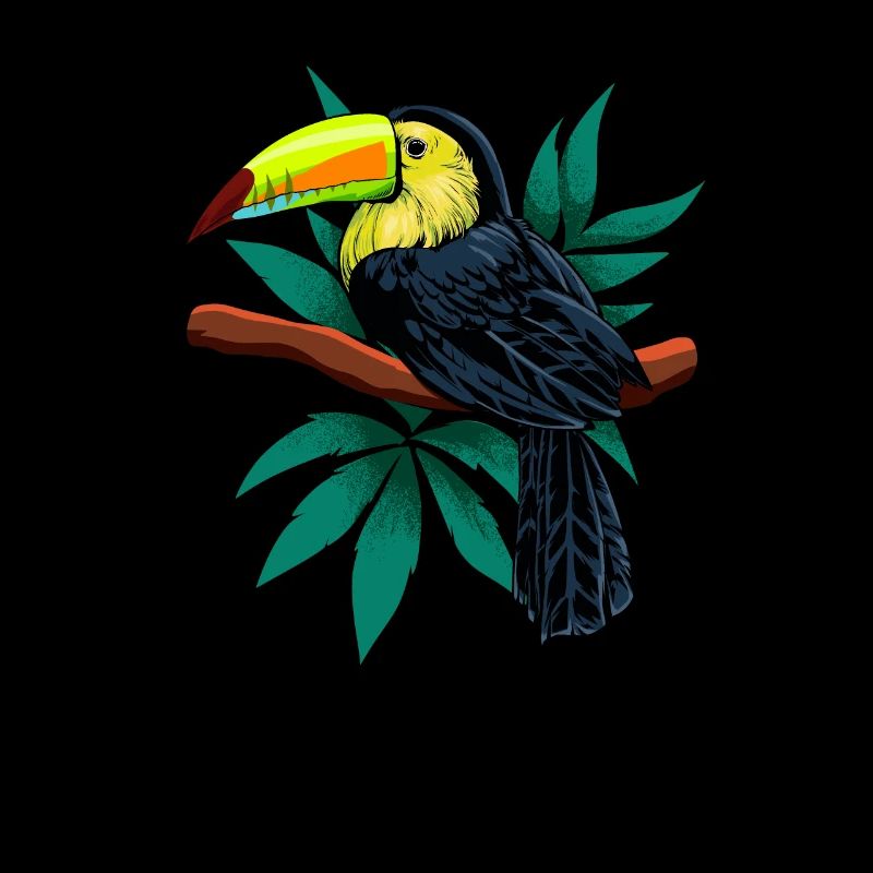 Paradievogel - Dessin d’un toucan