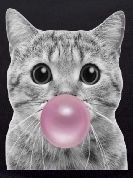 Bubble Katze