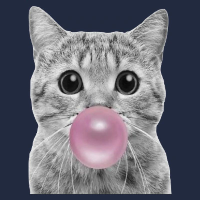 Chat bulle