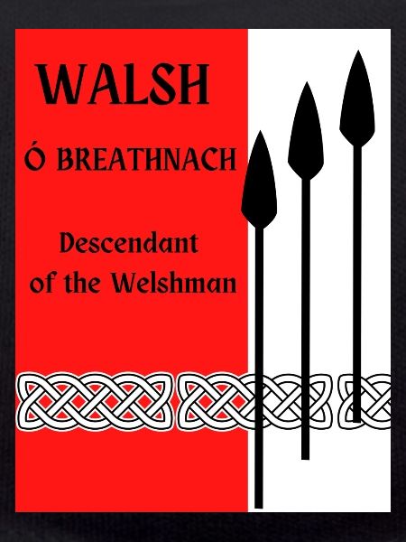 Walsh Surname