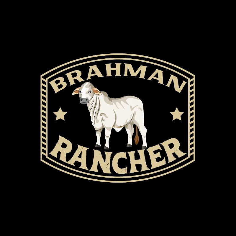 Bœuf zébu - Brahman Rancher
