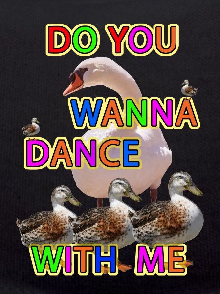 Danse du canard