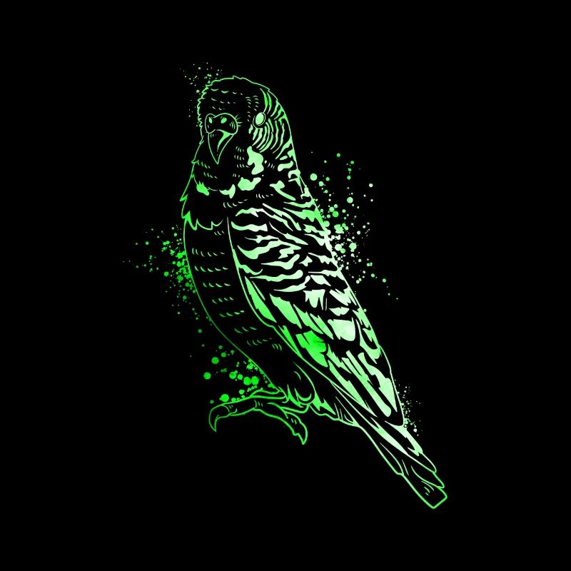 Colorful budgie