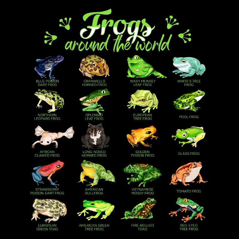 Grenouilles du monde - Grenouille