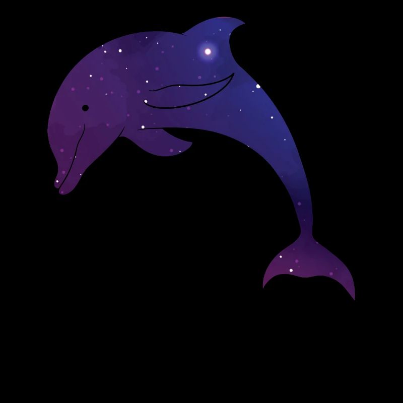Dolphin Space Galaxy