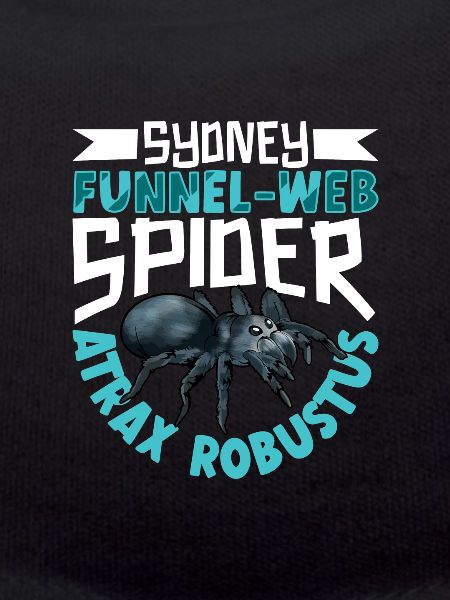Sydney Funnel Web Spider