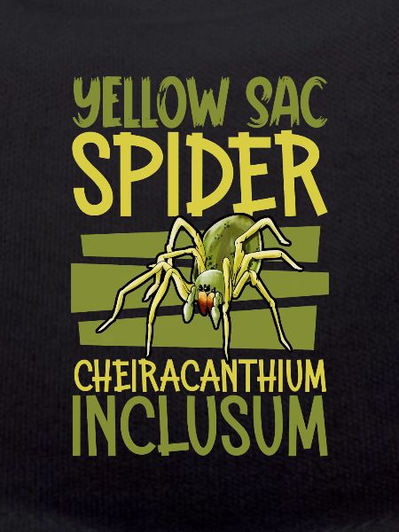 Echte Dornfinger Spinne