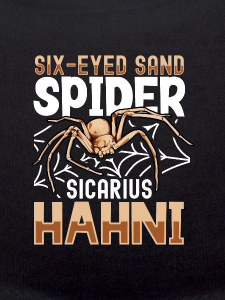 Six-eyed sand spider